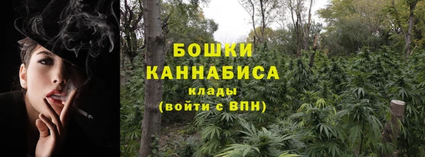 гидра Армянск