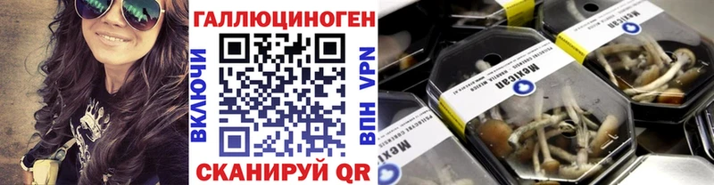 Псилоцибиновые грибы ЛСД Советск
